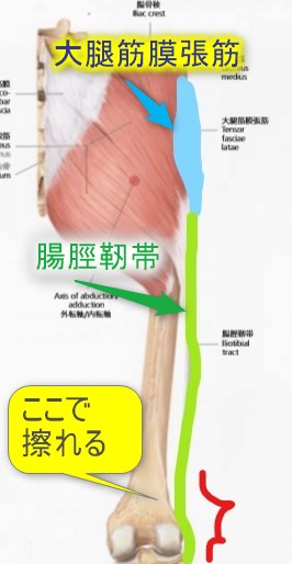 腸脛靭帯